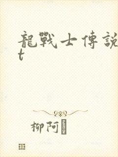 龙战士传说txt