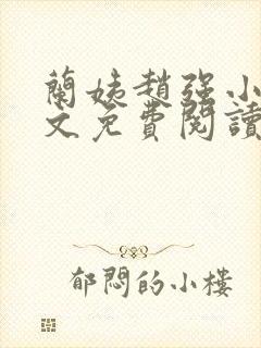 兰姨赵强小说全文免费阅读