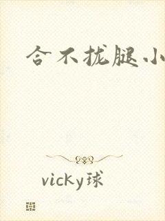 合不拢腿小说