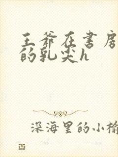 王爷在书房含她的乳尖h