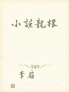 小说龙根