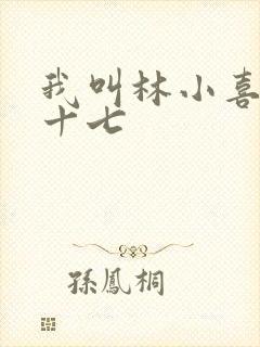我叫林小喜今年十七