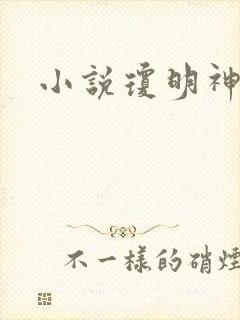 小说琼明神女录