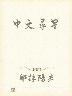 中文寻星