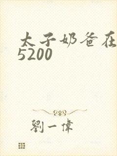 太子奶爸在花都5200