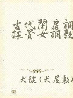 古代闺房调教h揉贵女调教记
