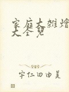 家庭大杂烩小说大全儿