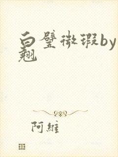 白璧微瑕by连翘