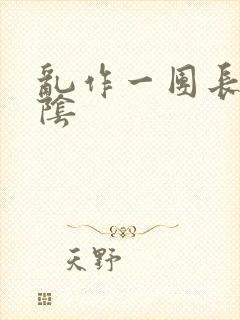 乱作一团长日光阴