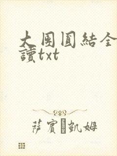 大团圆结全文阅读txt