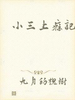 小三上瘾记