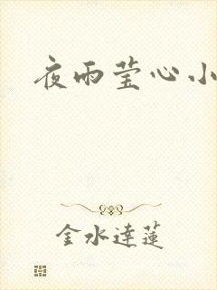 夜雨莹心小说