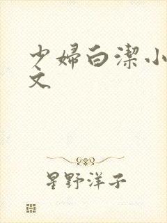 少妇白洁小说全文