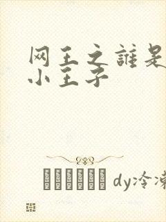 网王之谁是我的小王子