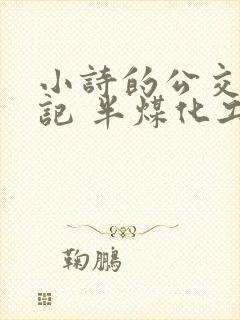小诗的公交车日记 半煤化工