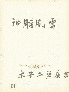 神雕风云