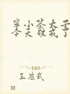 宁小茶太子殿下今天破戒了吗免费阅读