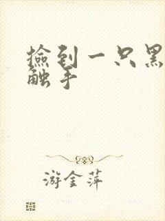 捡到一只黑心小触手