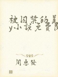 被囚禁的美人by小说免费阅读