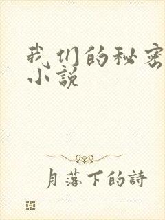 我们的秘密泰剧小说