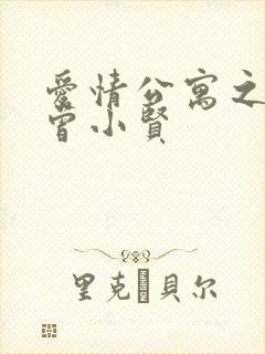 爱情公寓之极品曾小贤