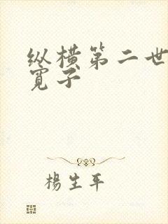 纵横第二世界 宽子