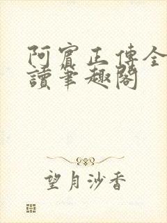 阿宾正传全文阅读笔趣阁