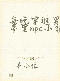 每晚穿进男神的梦里npc小说