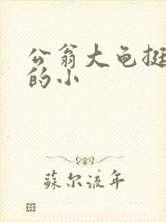 公翁大龟挺进我的小