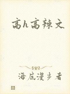 高h高辣文