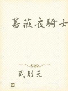 蔷薇夜骑士