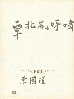 西北风呼啸的中午