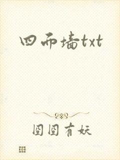 四面墙txt