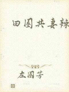 田园共妻辣