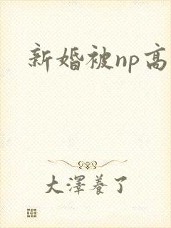新婚被np高h