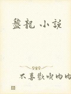 盘龙 小说