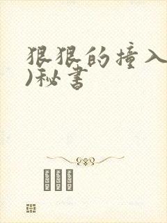 狠狠的撞入(h)秘书