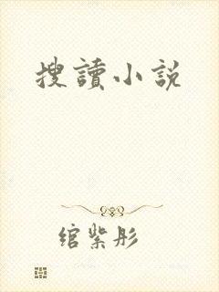 搜读小说