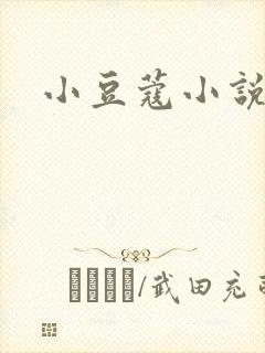 小豆蔻小说