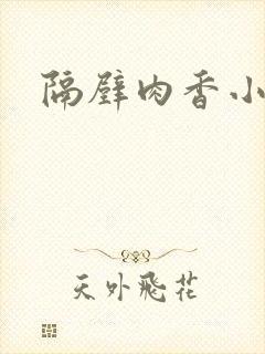 隔壁肉香小说