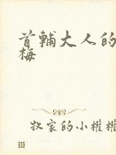 首辅大人的小青梅