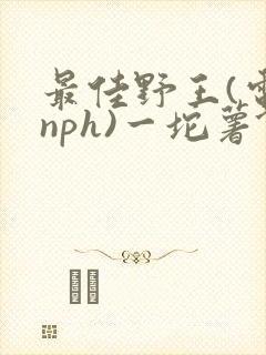 最佳野王(电竞nph)一坨薯饼