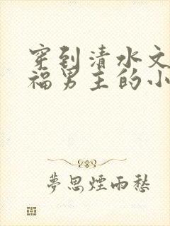 穿到清水文里造福男主的小说