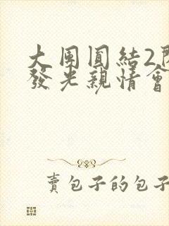 大团圆结2闪闪发光亲情会