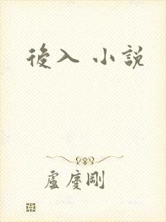 后入 小说