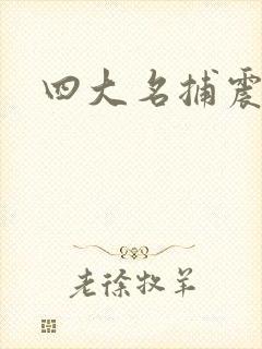 四大名捕震关东