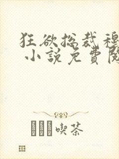 狂欲总裁穆非雪 小说免费阅读