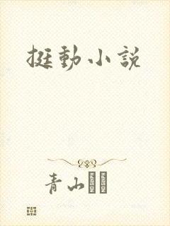 挺动小说