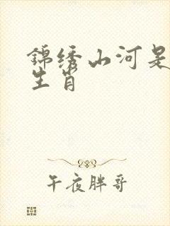 锦绣山河是什么生肖