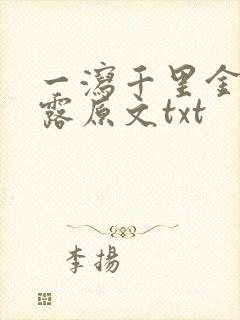 一泻千里金银花露原文txt